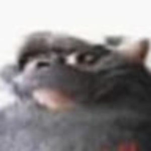 Meet your Posher, Samuel